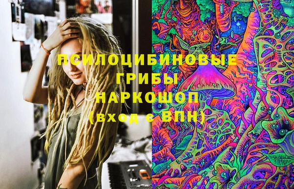 сатива Верея