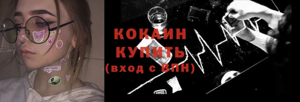 сатива Верея