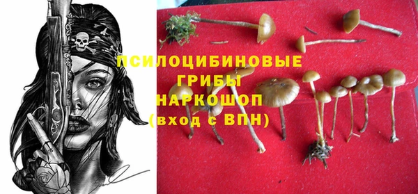 герыч Володарск