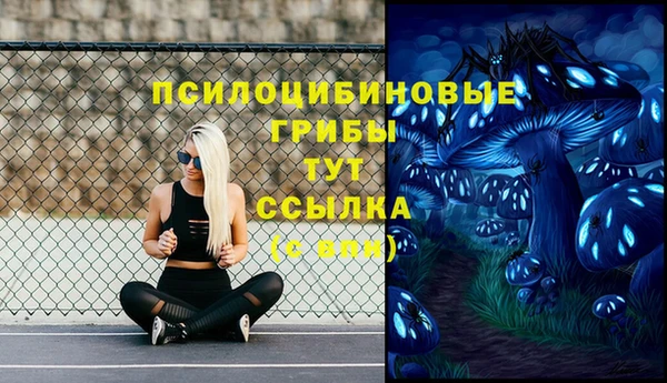 герыч Володарск