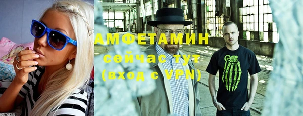 сатива Верея